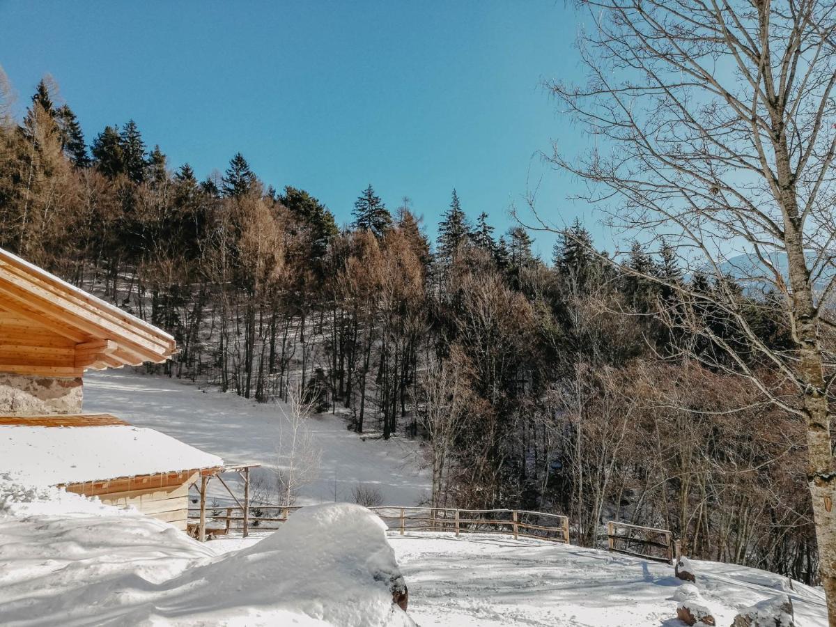 Odomi Maso Nel Bosco Villa Sant'Orsola Luaran gambar