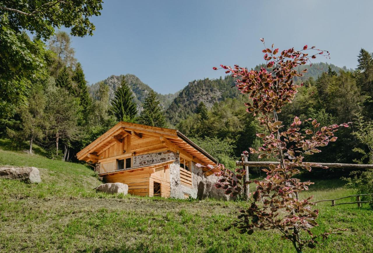 Odomi Maso Nel Bosco Villa Sant'Orsola Luaran gambar