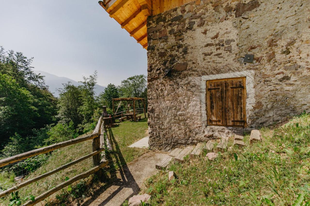 Odomi Maso Nel Bosco Villa Sant'Orsola Luaran gambar